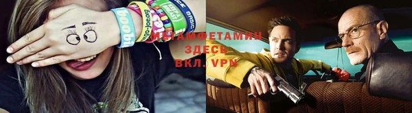 ПСИЛОЦИБИНОВЫЕ ГРИБЫ Алексин