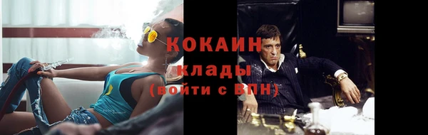 ПСИЛОЦИБИНОВЫЕ ГРИБЫ Алексин