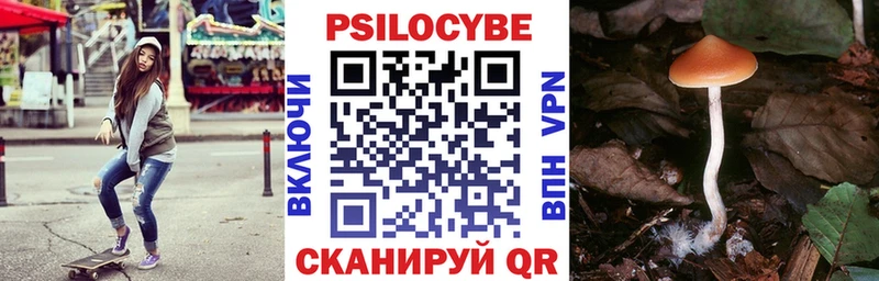 MEGA ссылка  Черноголовка  Псилоцибиновые грибы мухоморы 