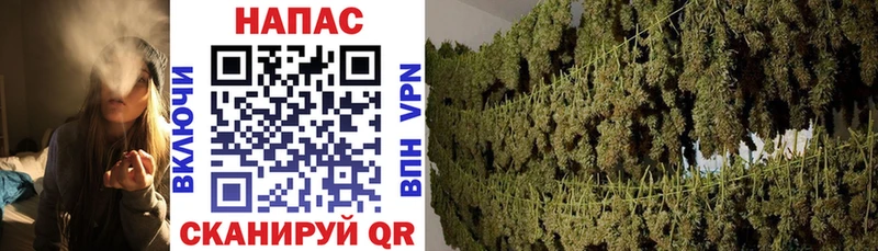 Шишки марихуана Bruce Banner  мега ссылки  Черноголовка 
